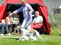 20110508_a_Hillerod02.jpg